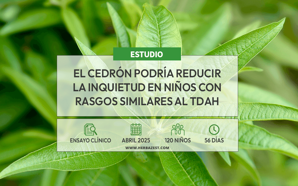 El cedrón muestra potencial en niños con rasgos similares al TDAH