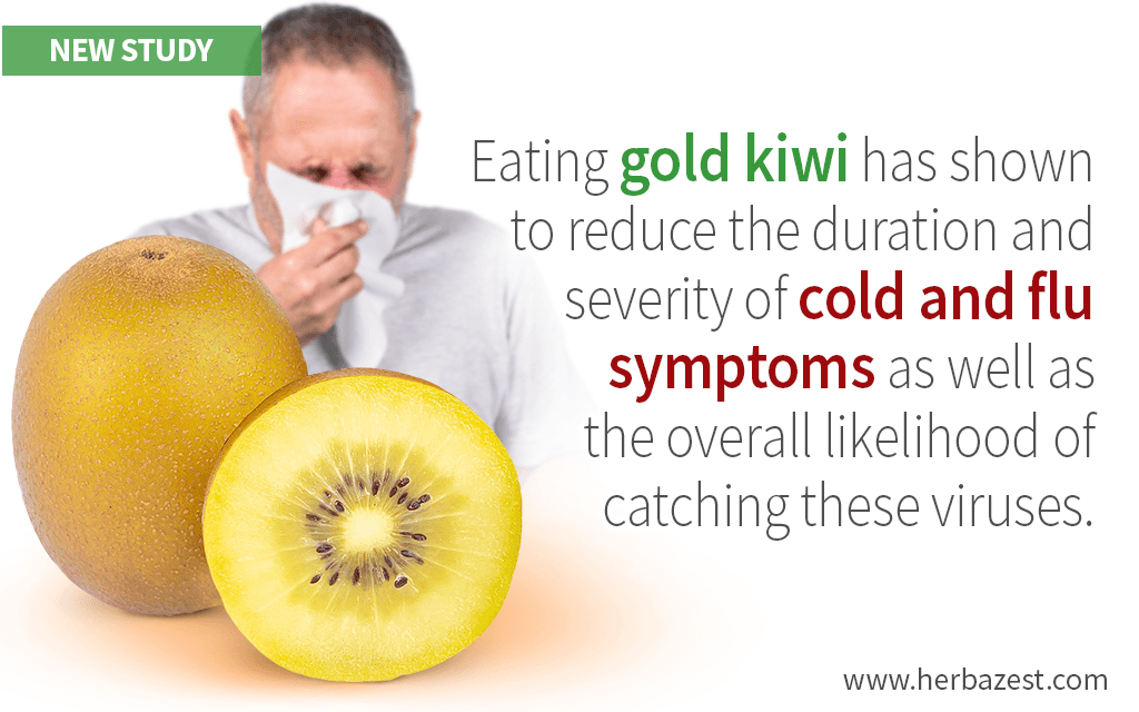 Gold Kiwifruit Reduces Common Cold and Flu Symptoms