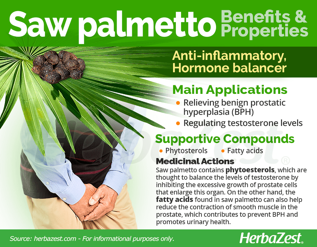 Saw Palmetto Benefits and Properties
