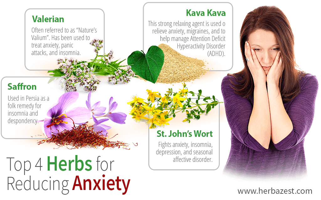 Top 4 Herbs for Reducing Anxiety
