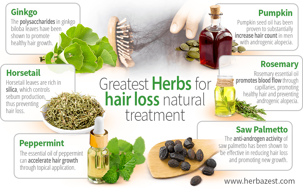 Greatest herbs for hair loss natural treatment