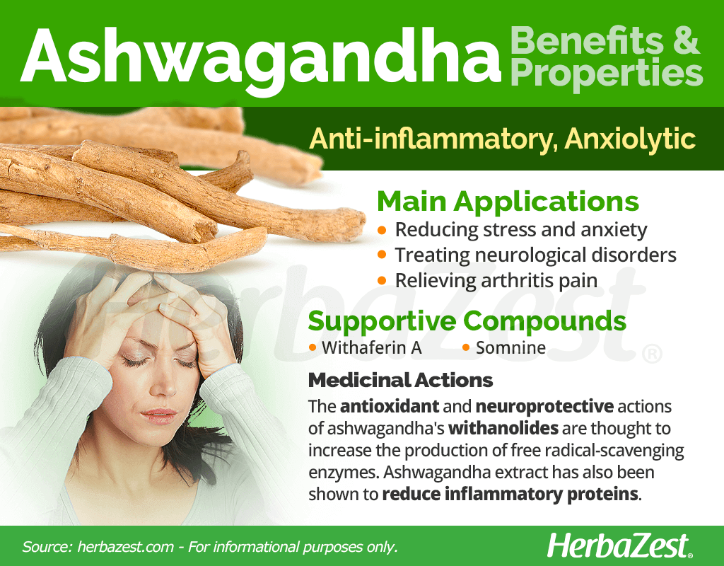 Ashwagandha benefits