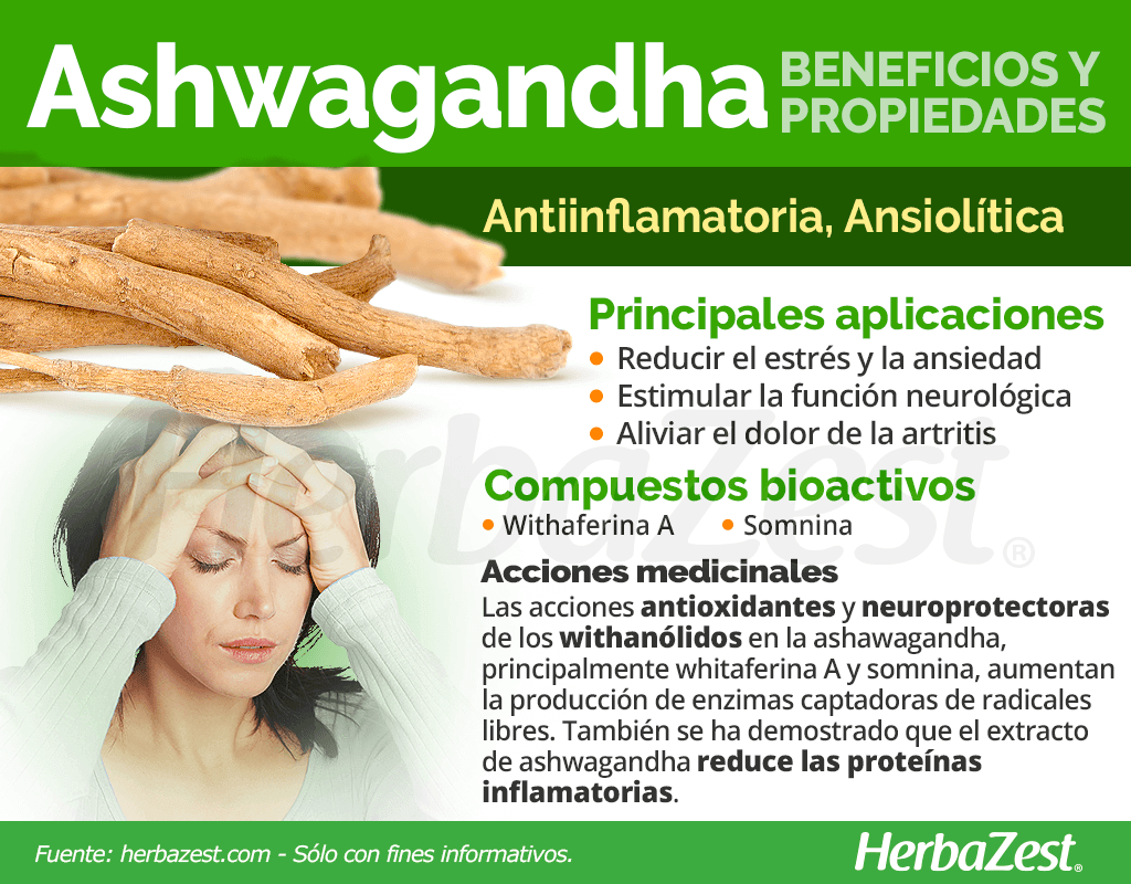 Beneficios y propiedades de la ashwagandha
