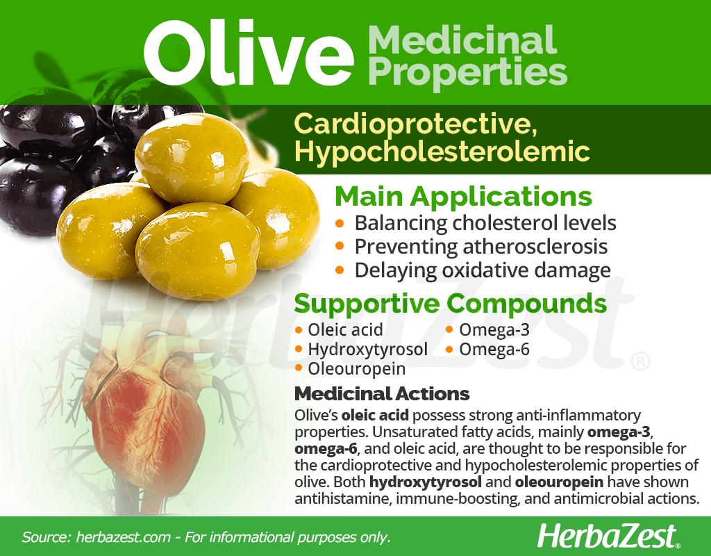 Olive Medicinal Properties