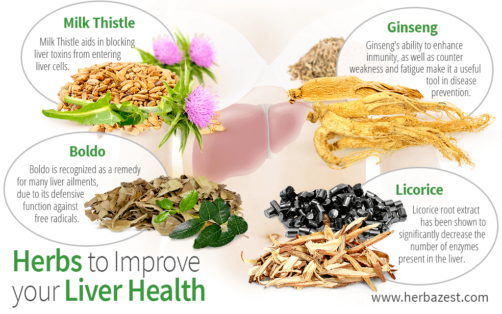Herbs to Improve your Liver Health