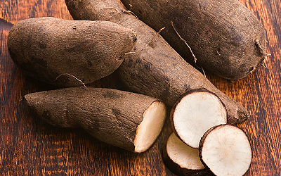 El yacón puede ser un buen portador de probióticos