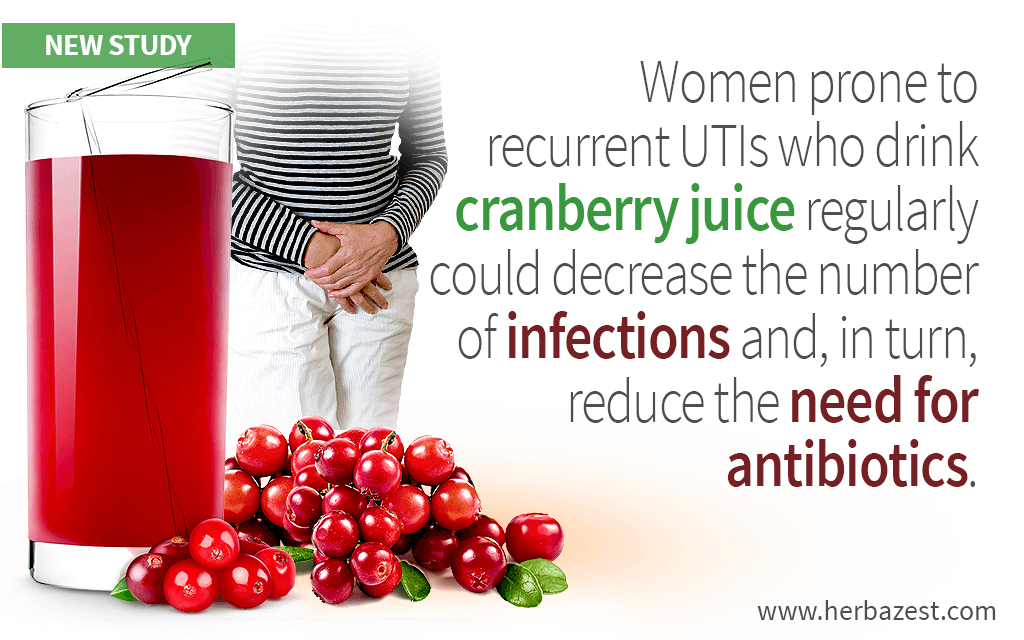 Women prone to recurrent UTIs who drink cranberry juice regularly could decrease the number of infections and, in turn, reduce the need for antibiotics.