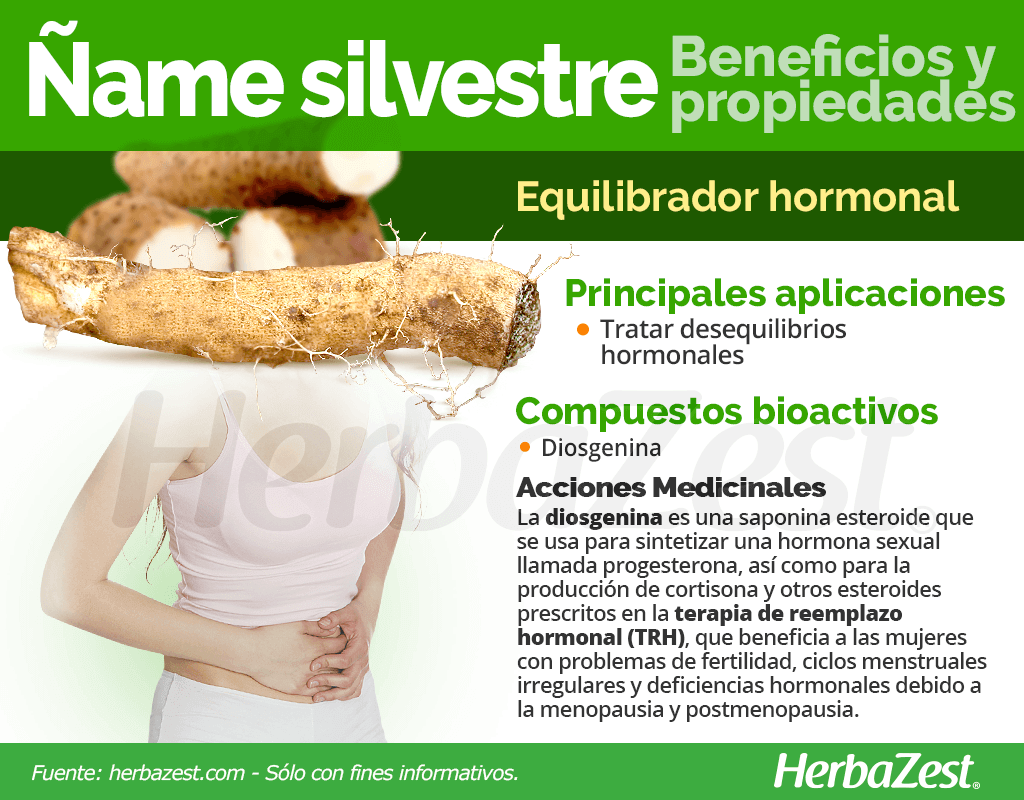 Beneficios y propiedades del ñame silvestre