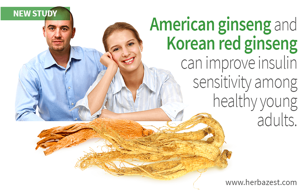 American ginseng and Korean red ginseng can improve insulin sensitivity among healthy young adults