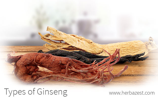 Types of Ginseng