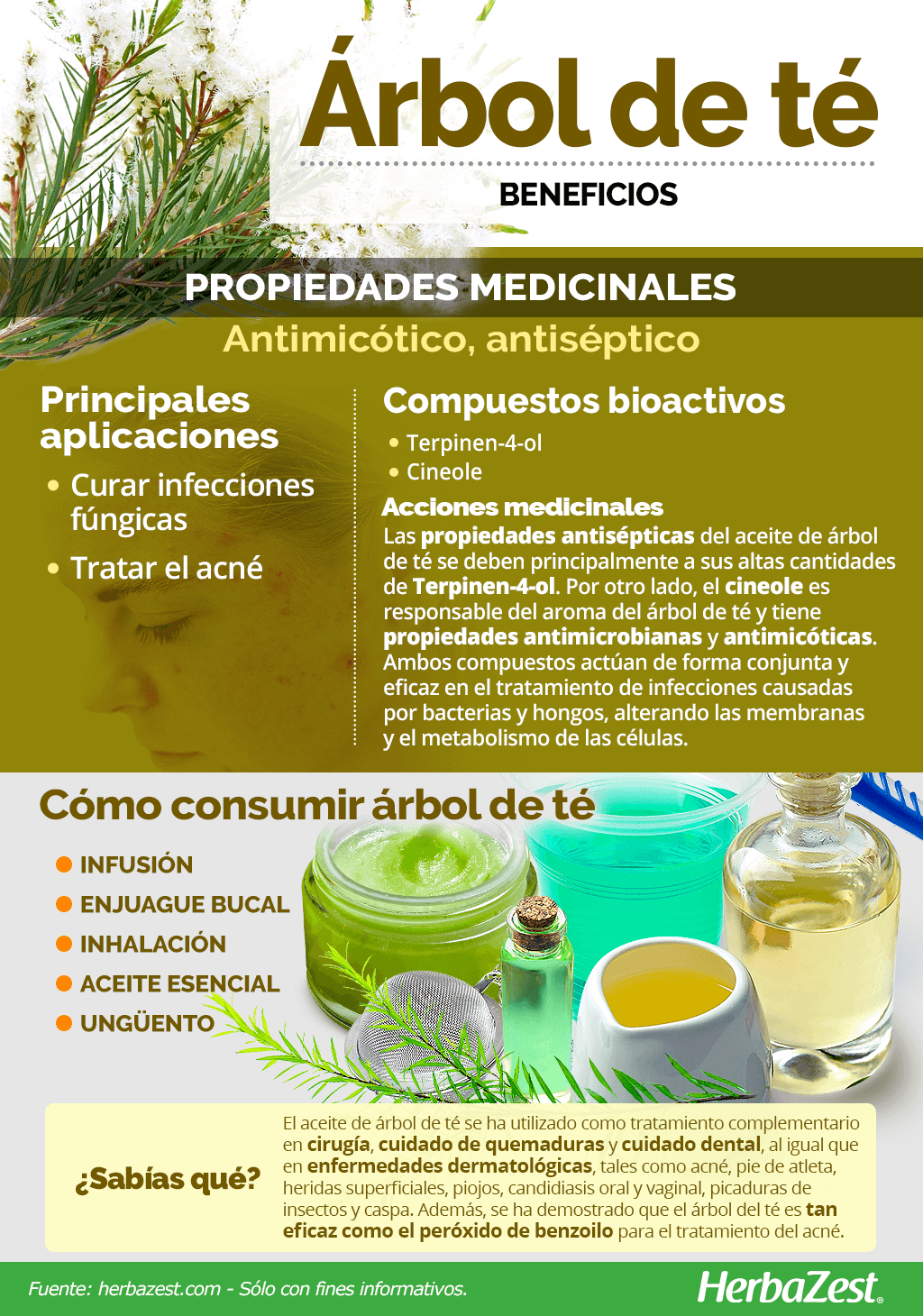 Beneficios del árbol de té