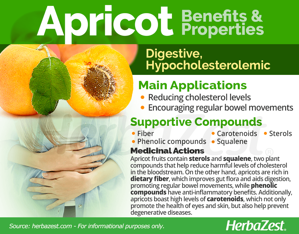 Apricot Medicinal Properties