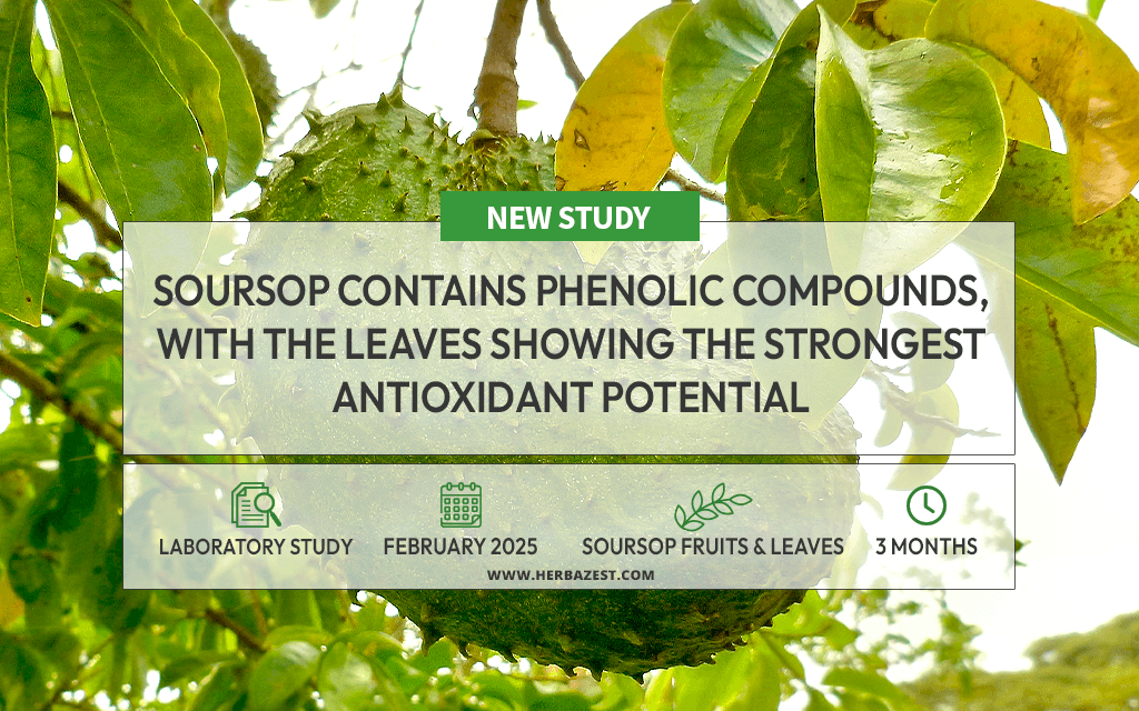 New Research Highlights the Bioactive Potential of Soursop