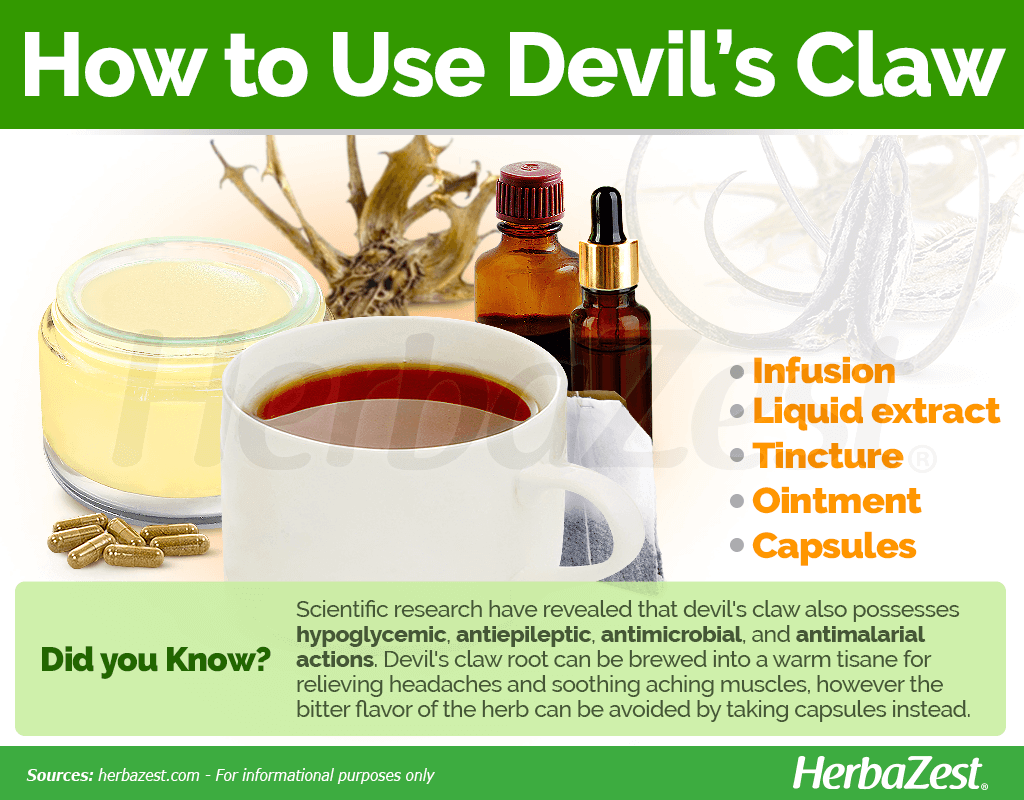 How to Use Devil's Claw