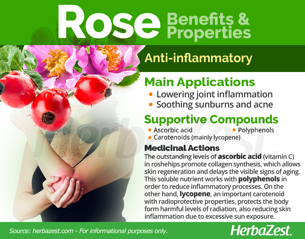 Rose Benefits and Properties