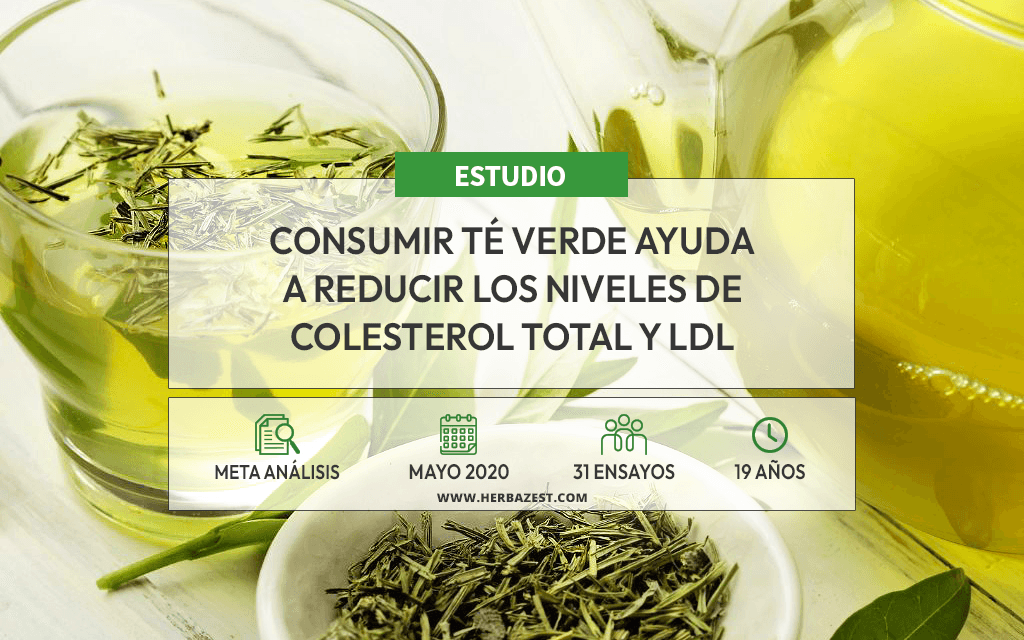 Analizan efectos del té verde sobre los lípidos en sangre